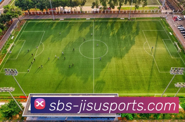 极速体育直播服务体系